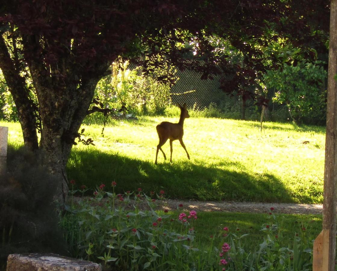 Fermette Dans Les Pays De La Loire Villa Ize ภายนอก รูปภาพ