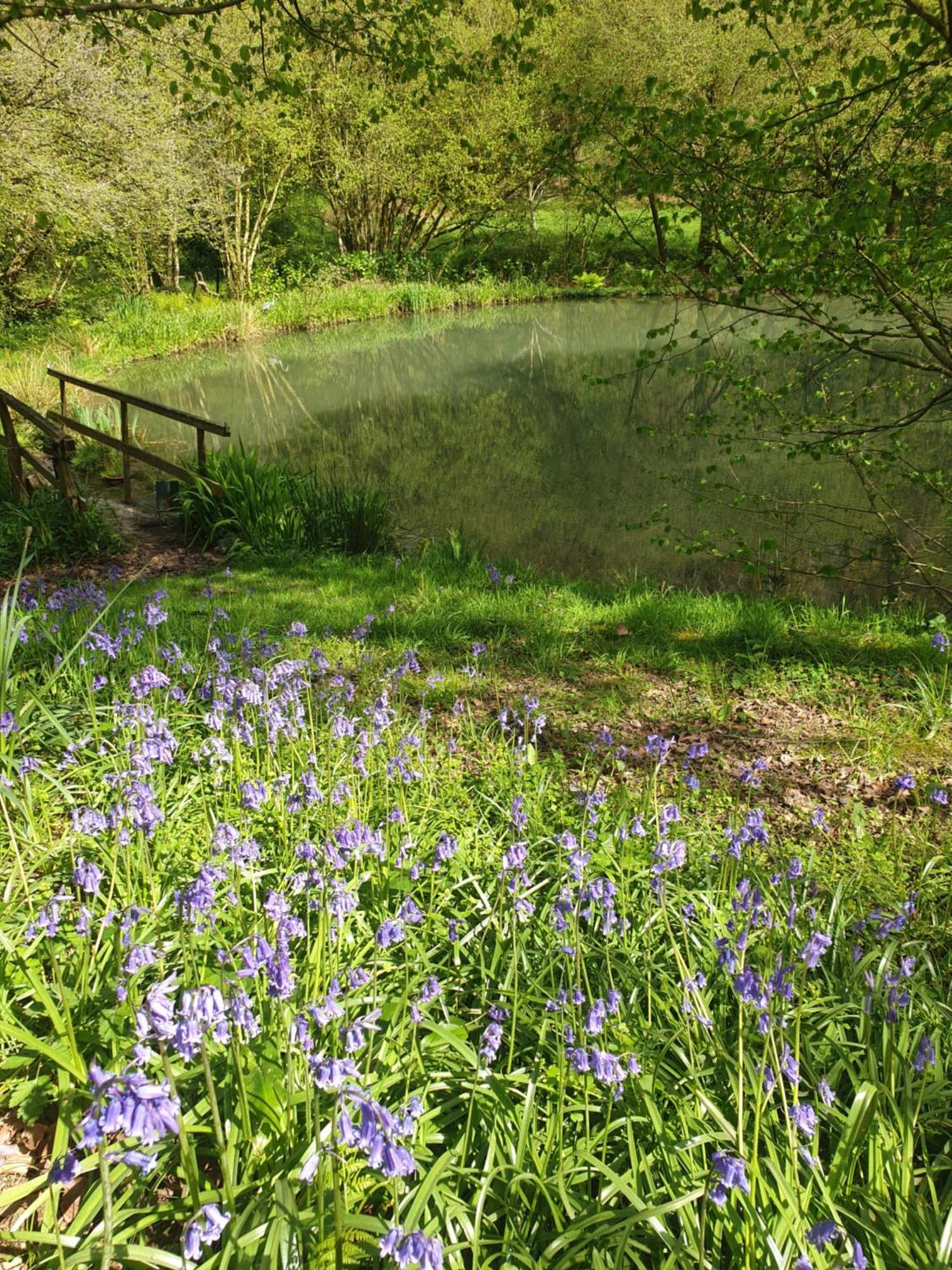 Fermette Dans Les Pays De La Loire Villa Ize ภายนอก รูปภาพ