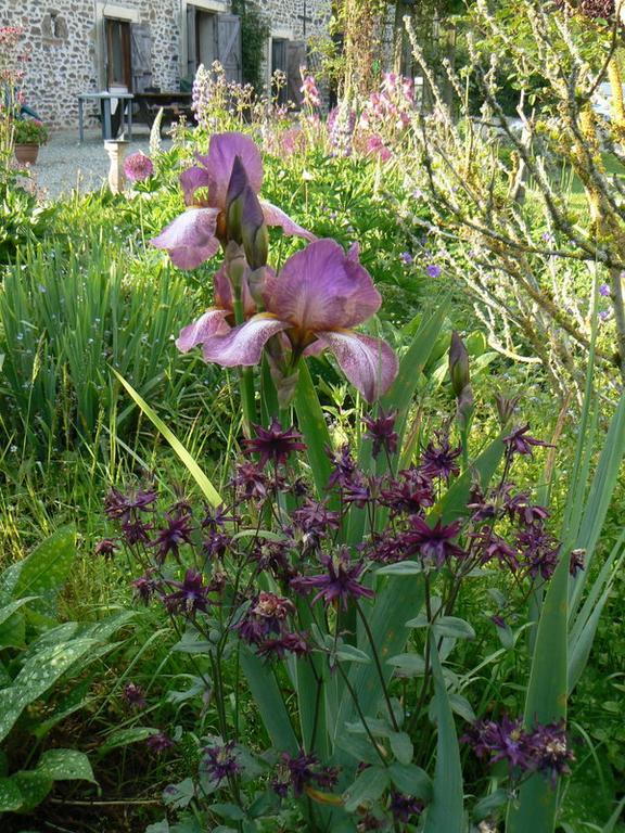 Fermette Dans Les Pays De La Loire Villa Ize ภายนอก รูปภาพ